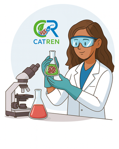 Visiting Researcher from Universidad Tecnológica Nacional (Argentina)