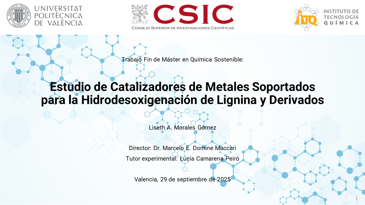 Congratulations to Anahí Listeth on her outstanding Master’s Thesis defense!