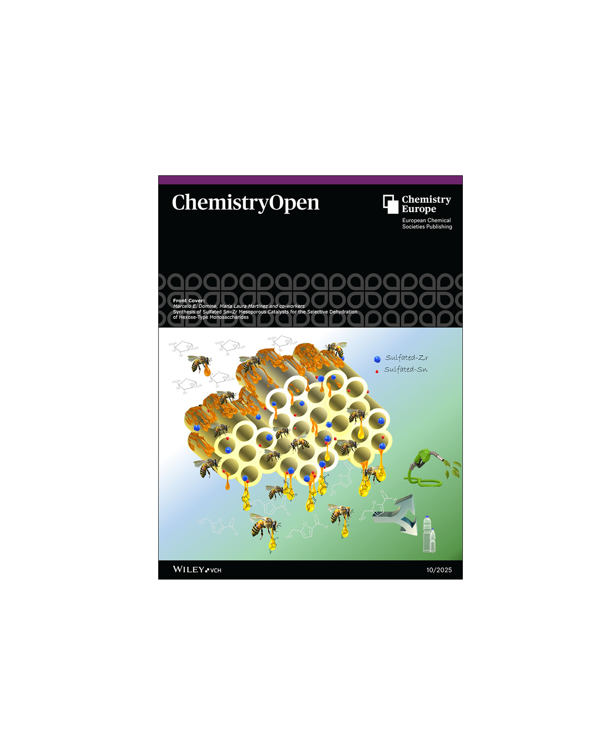 New publication of CAT-REN group in Chemistry Open journal (Front Cover of the issue)