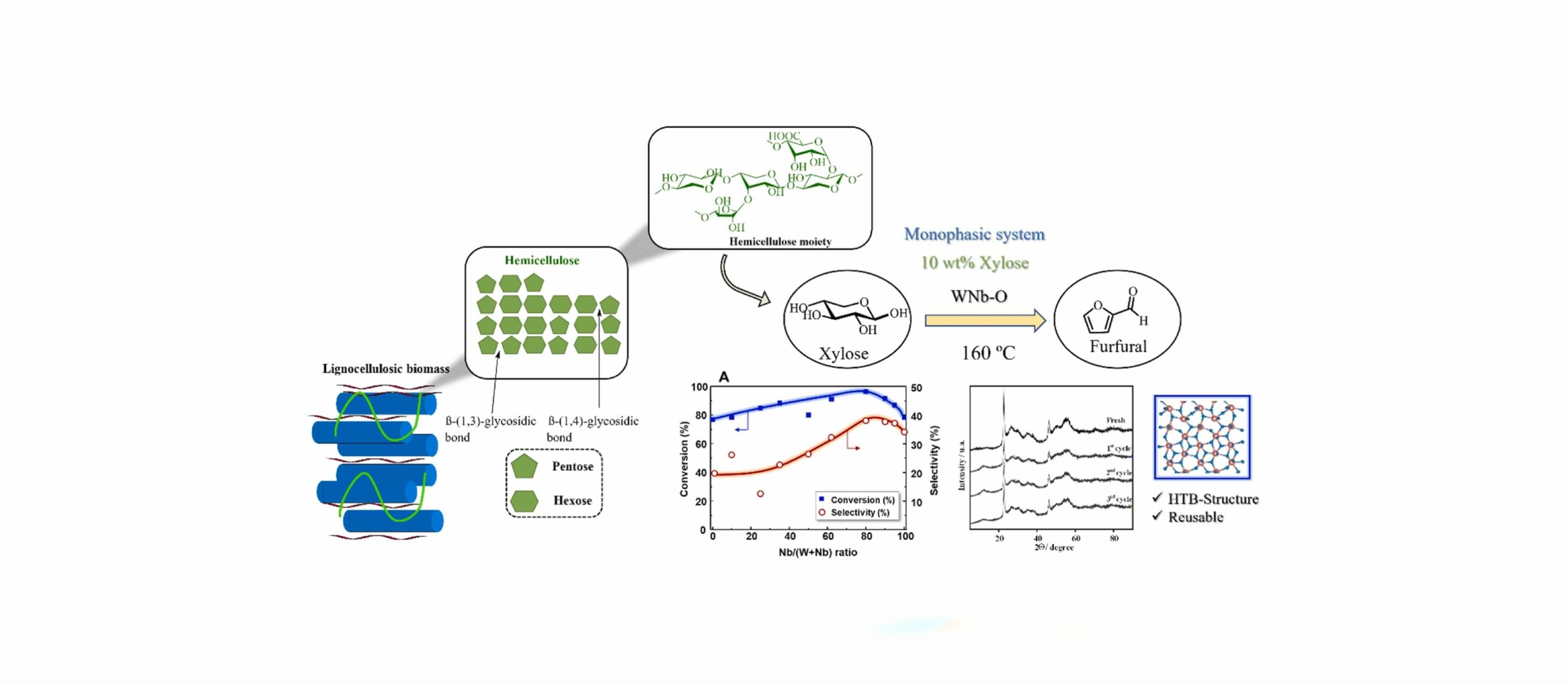 New publication of CAT-REN group in Applied Catalysis A: Gen